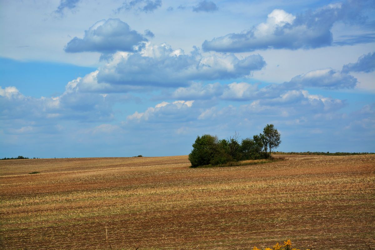 Weather Photos in Ukraine. Weather forecasts with beautiful photos by Andrie