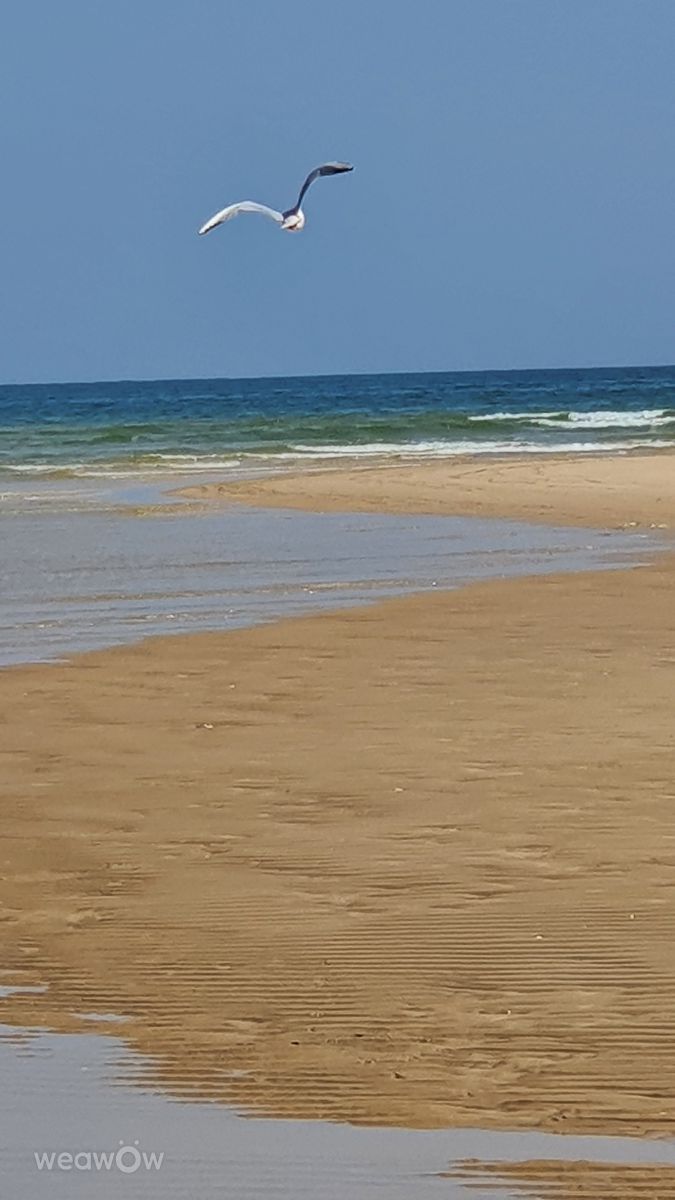 Weather Photos in Cacela Velha. Weather forecasts with beautiful photos by De_Santana