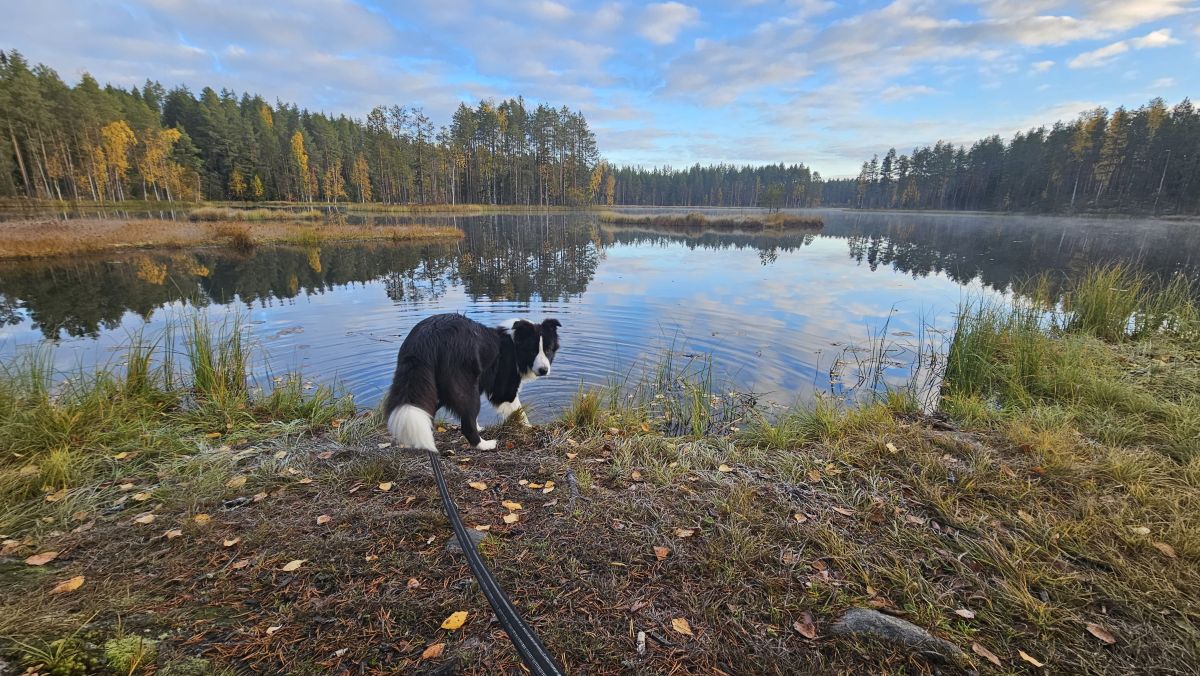 Photos météo à Finlande. Prévisions météo avec de superbes photos de Piia