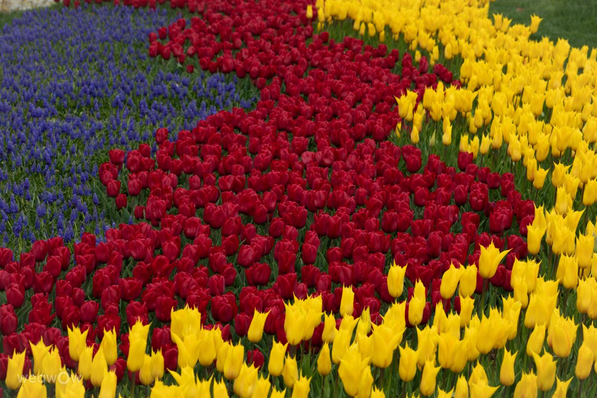 Фотографии Погоды в Стамбул. Прогнозы погоды с чудесными фотографиями, сделанными Тодор Тодоров_fb1