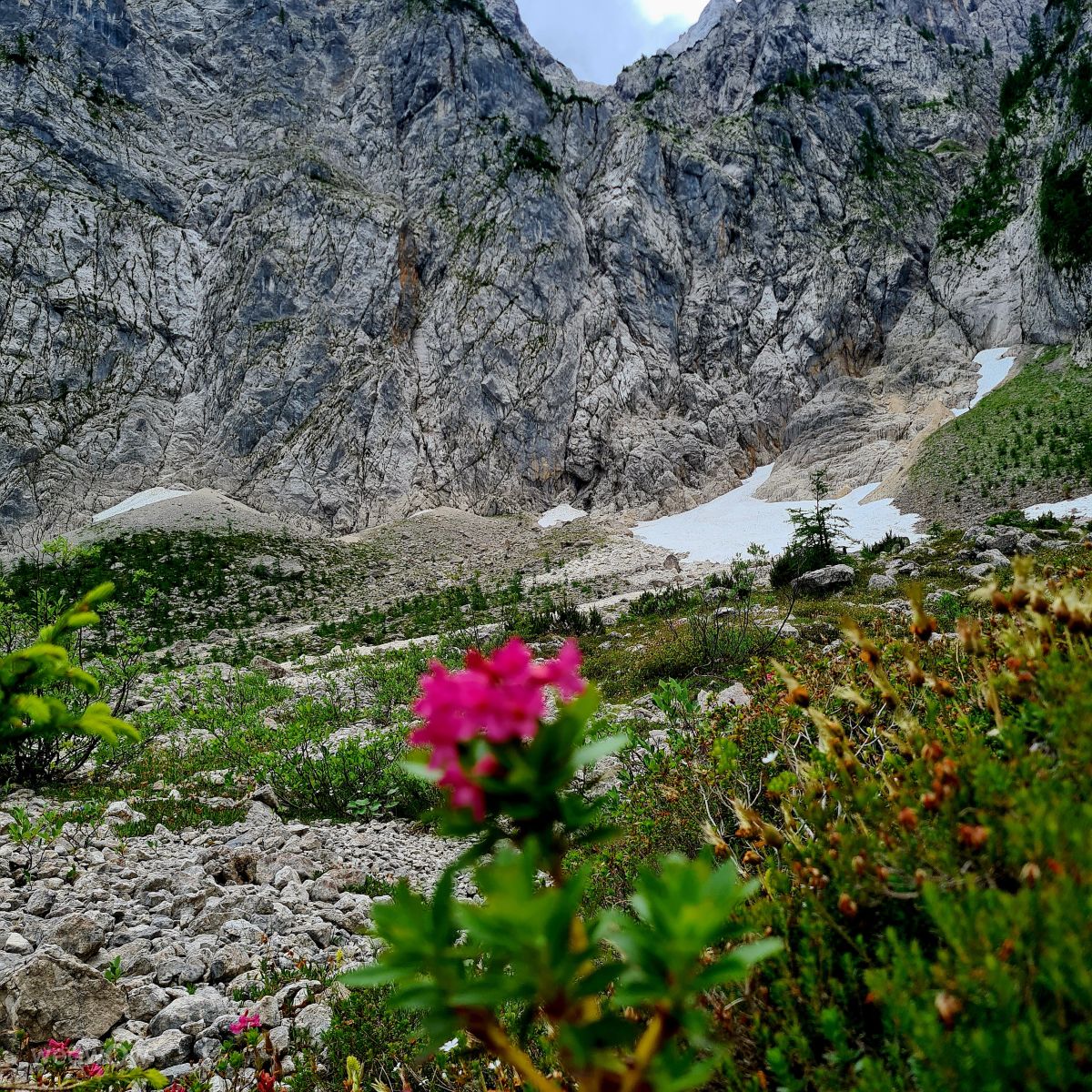 Weather Photos in Slovenia. Weather forecasts with beautiful photos by Kumer