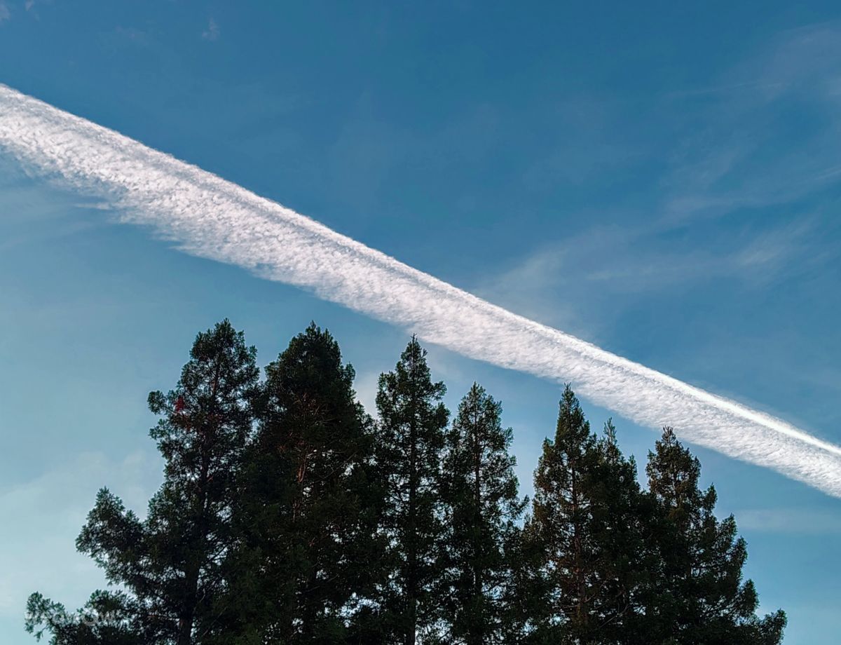 摄影师 Ghostroku，奇科的天气照片 - Weawow