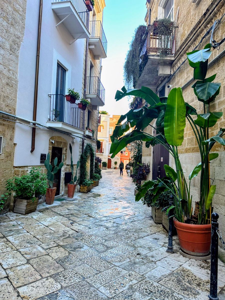 Weather Photos in Italy. Weather forecasts with beautiful photos by Soulbro