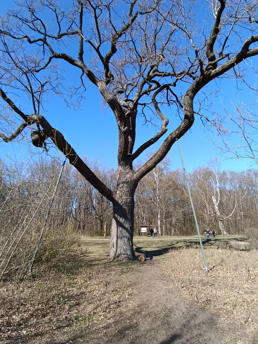 Fotógrafo Andrey72, Fotos sobre el clima en Lisy Nos - Weawow