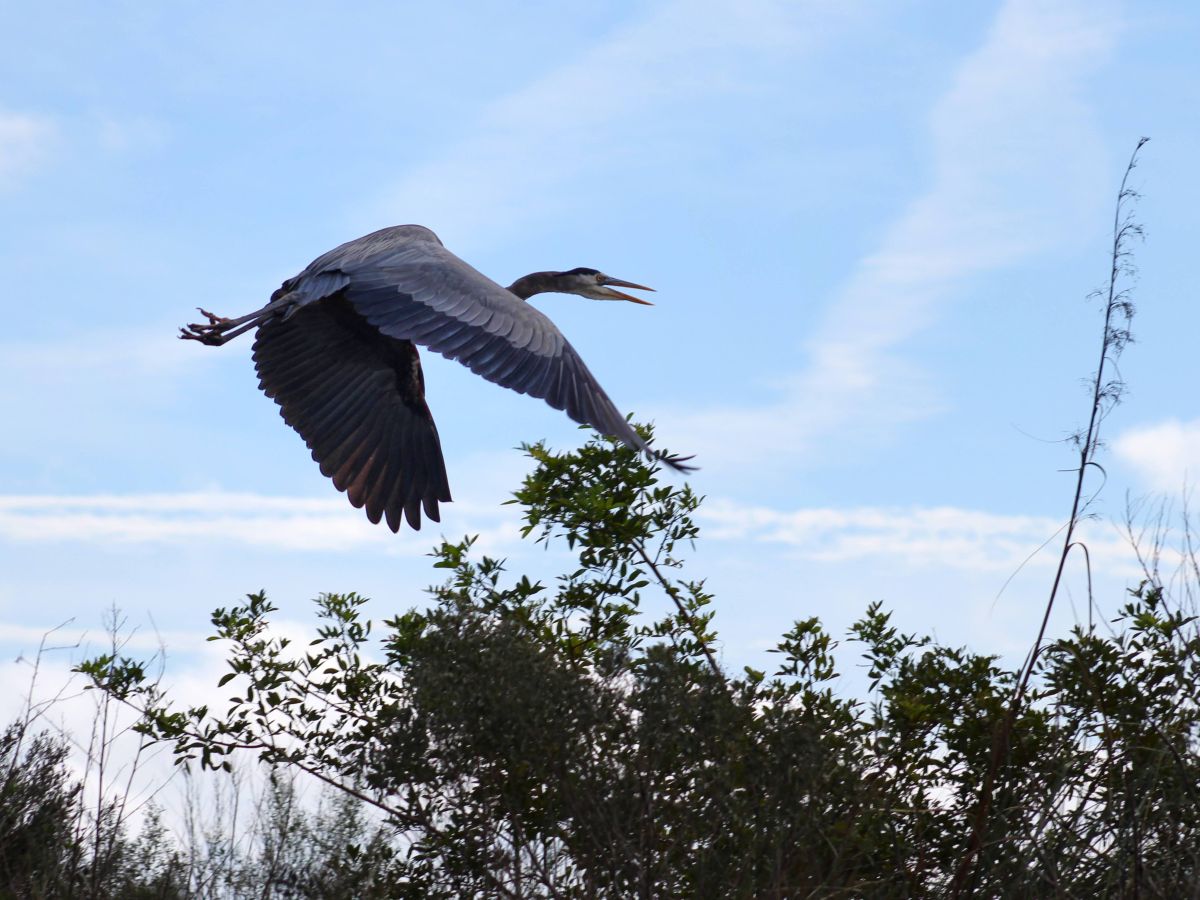 Weather Photos in Florida. Weather forecasts with beautiful photos by MrFriendlyBen