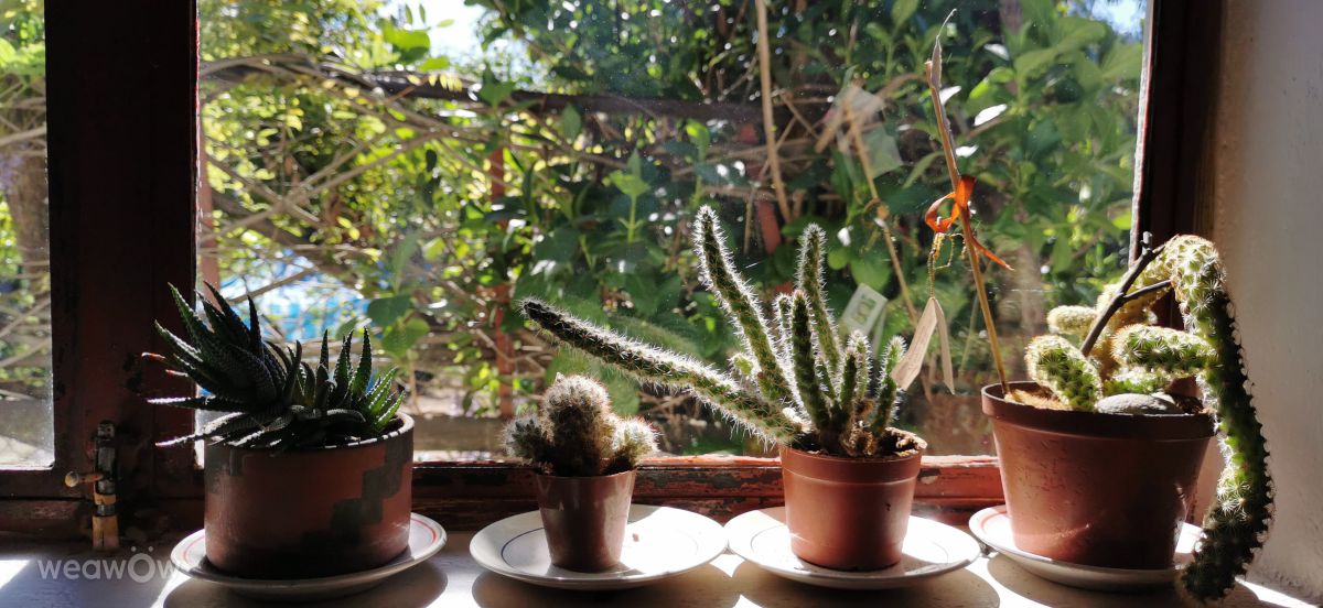 Photos météo à Coelemu. Prévisions météo avec de superbes photos de Carsal-CL