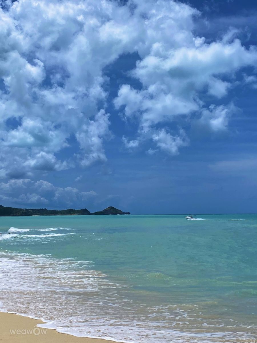 Weather forecasts with beautiful photos by LadyLesa
