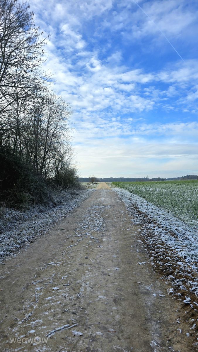 Weather Photos in Bavaria. Weather forecasts with beautiful photos by Hela