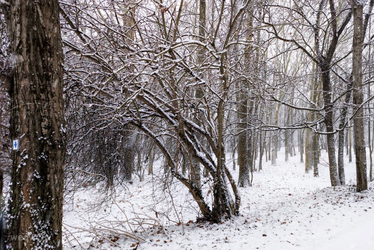 Templomkertの天気写真. sloaraiの美しい写真による天気予報