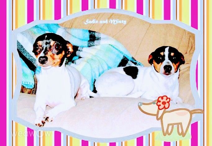 摄影师 Cajungrl26，Laplace的天气照片 - Weawow