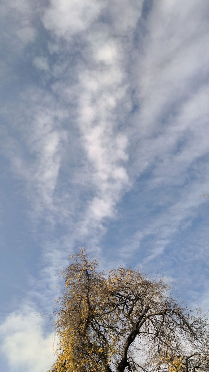 Fotos sobre el clima en București. Pronósticos del tiempo con hermosas fotos de YanBog