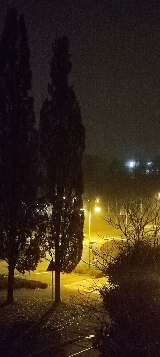 Photographer Tercis, Weather Photos in Ettlingen - Weawow