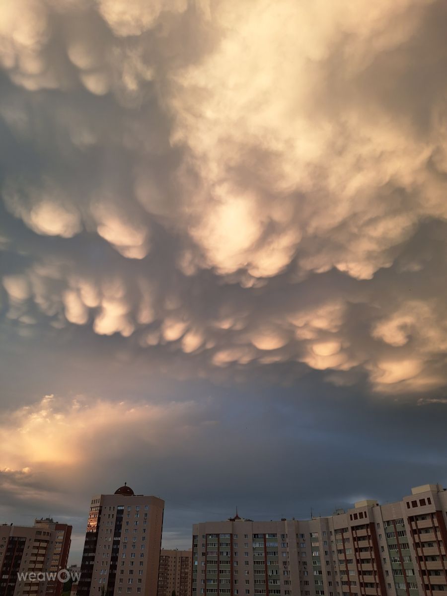 Fotos sobre el clima en Krasnoobsk. Pronósticos del tiempo con hermosas fotos de MPVJ