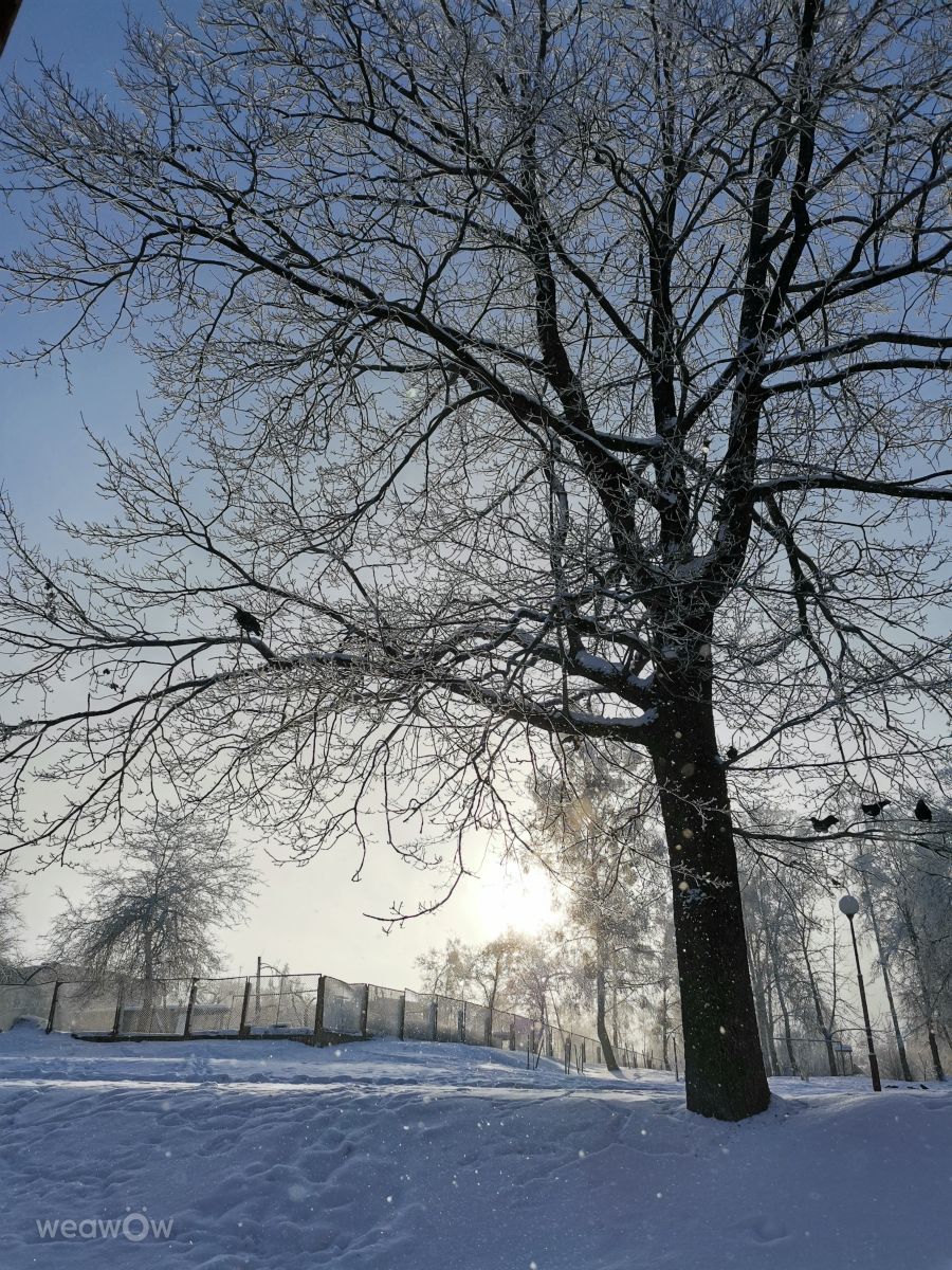 Fotos do tempo em Hrodna. Previsões do tempo com lindas fotos de Irishka