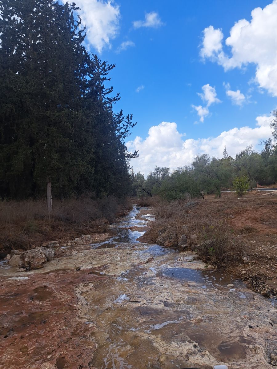 Photos météo à Israël. Prévisions météo avec de superbes photos de Sviatoslav