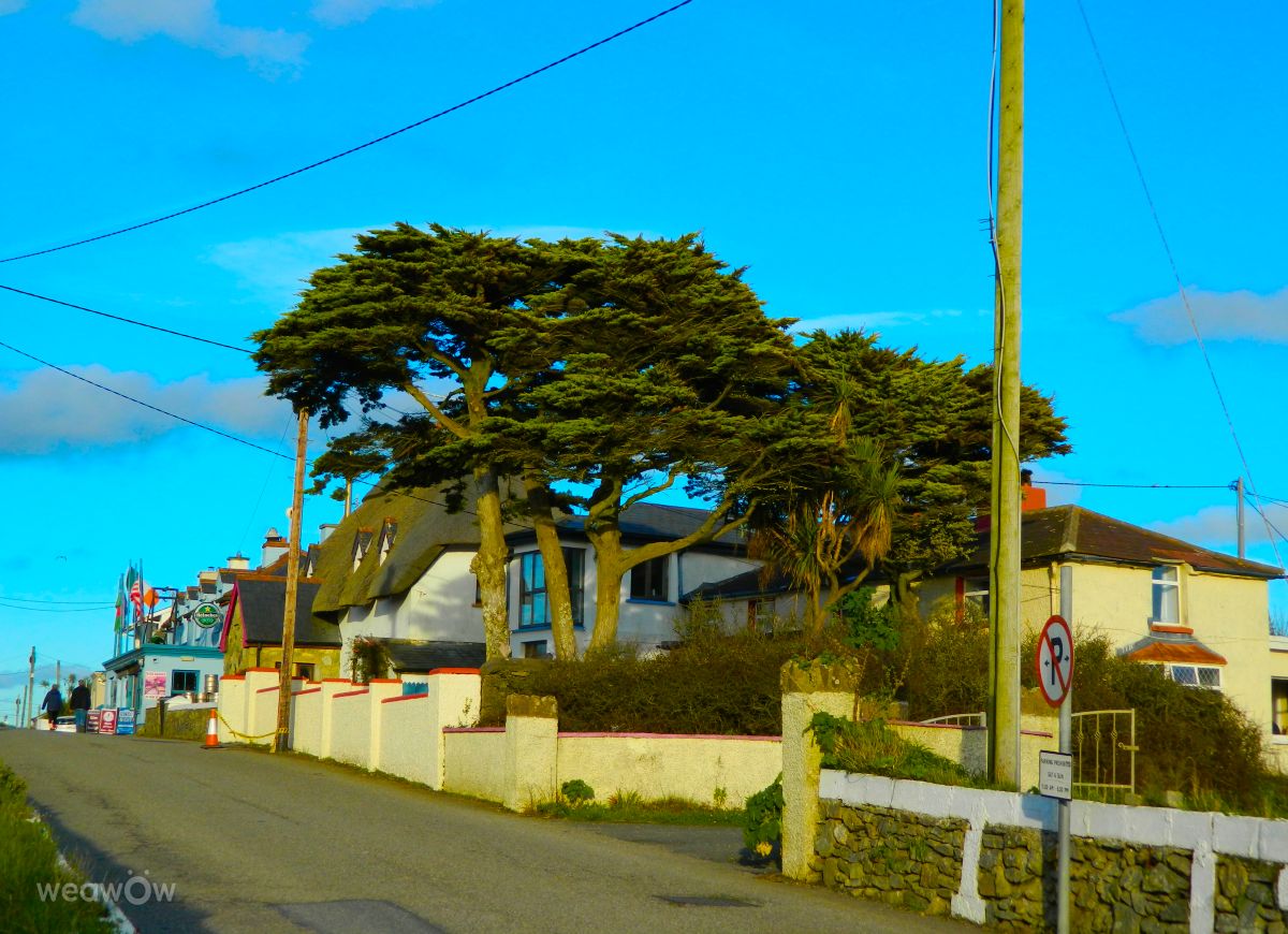 Nhiếp ảnh gia DarekCho, Hình ảnh Thời tiết ở Kilmore - Weawow