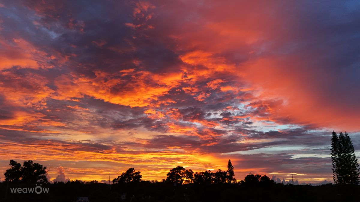 Photograph Gallardo_17, Wetter Photos Tampa - Weawow