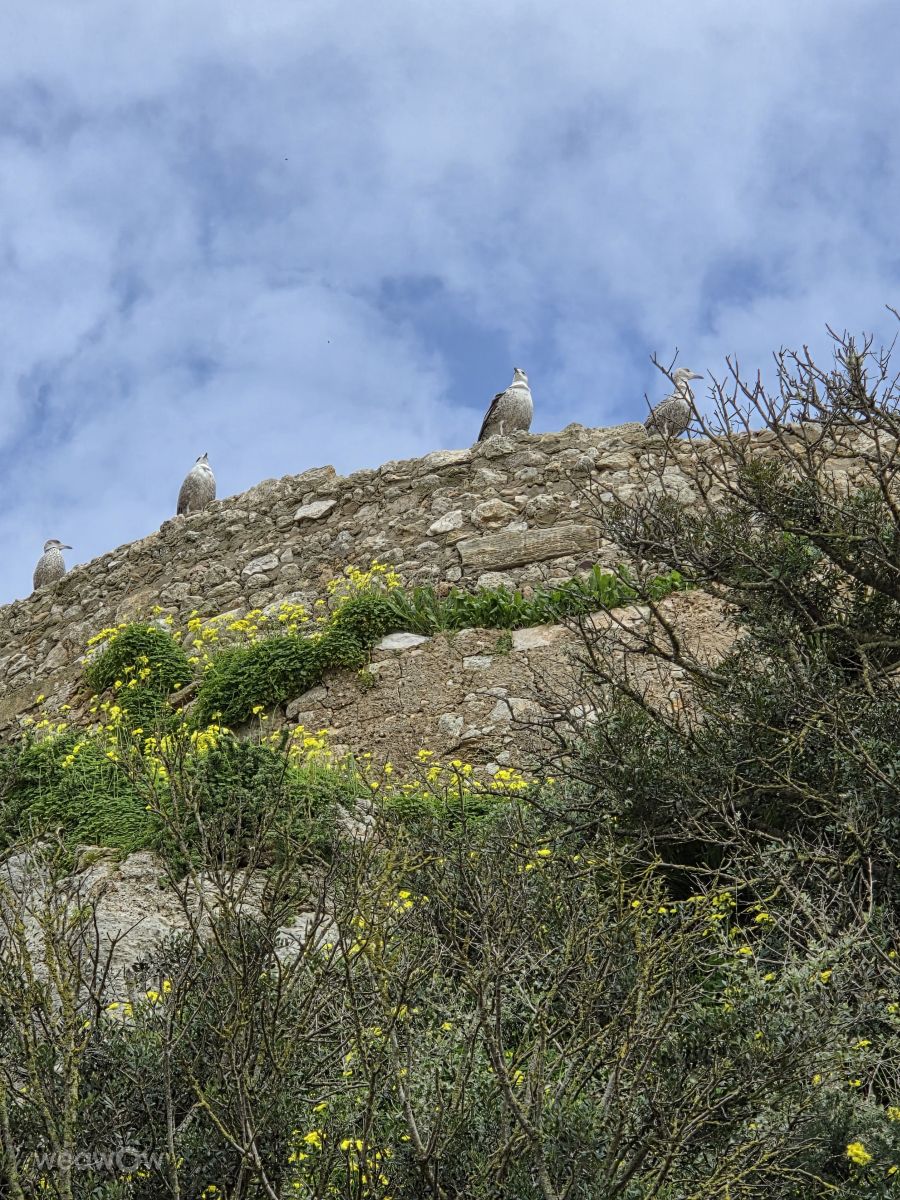 Weather forecasts with beautiful photos by Brtd