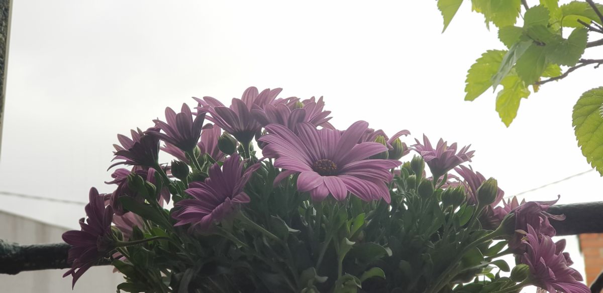 Photographer deliagt, Weather Photos in Madrid - Weawow