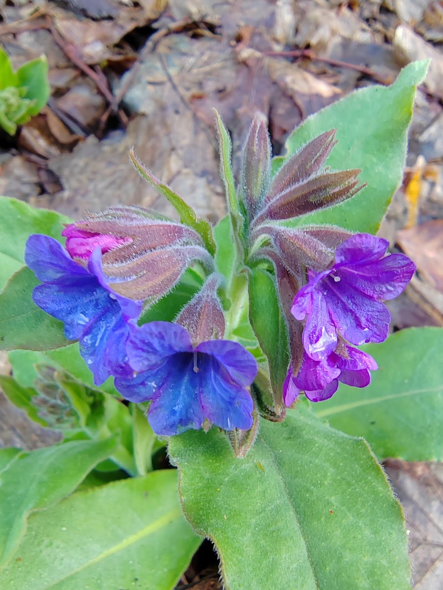 Photographer Albert_Smelovtsev, Weather Photos in Roza Khutor - Weawow