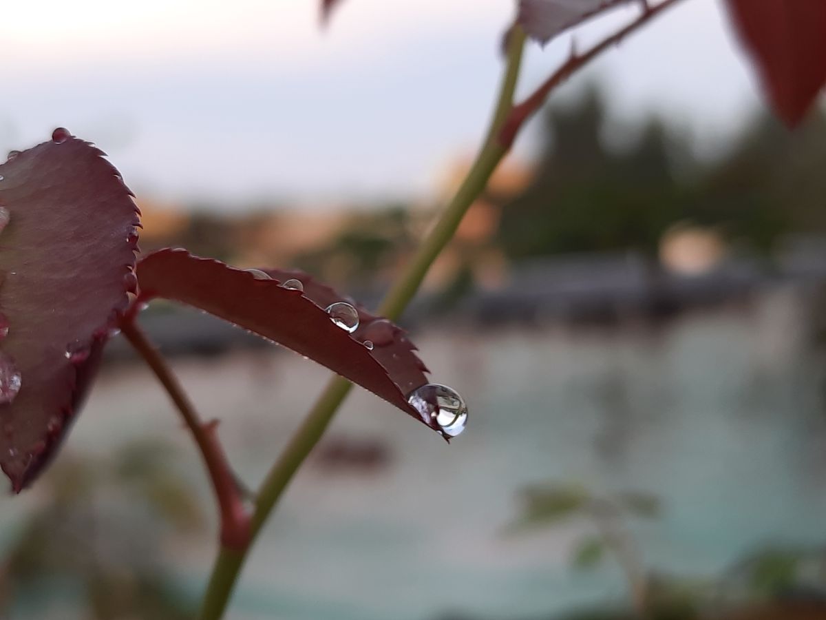 Weather Photos in Chidambaram. Weather forecasts with beautiful photos by GURUZ-ANTONY