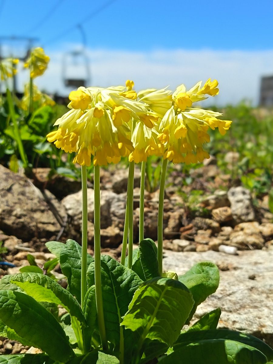 Weather forecasts with beautiful photos by ЮлЯШа