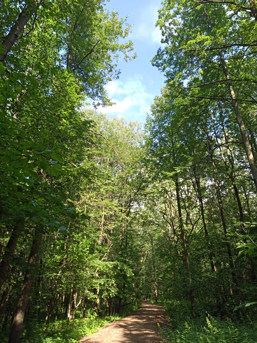 Photographer Amanda_and_Valdemar_Che, Weather Photos in Izmaylovo District - Weawow