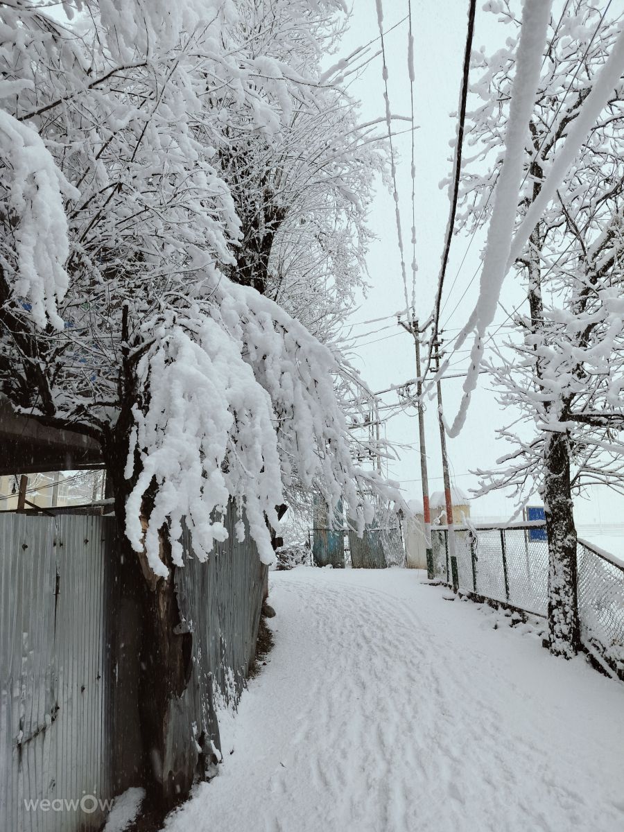 Weather Photos in Jammu and Kashmir. Weather forecasts with beautiful photos by Amir999000