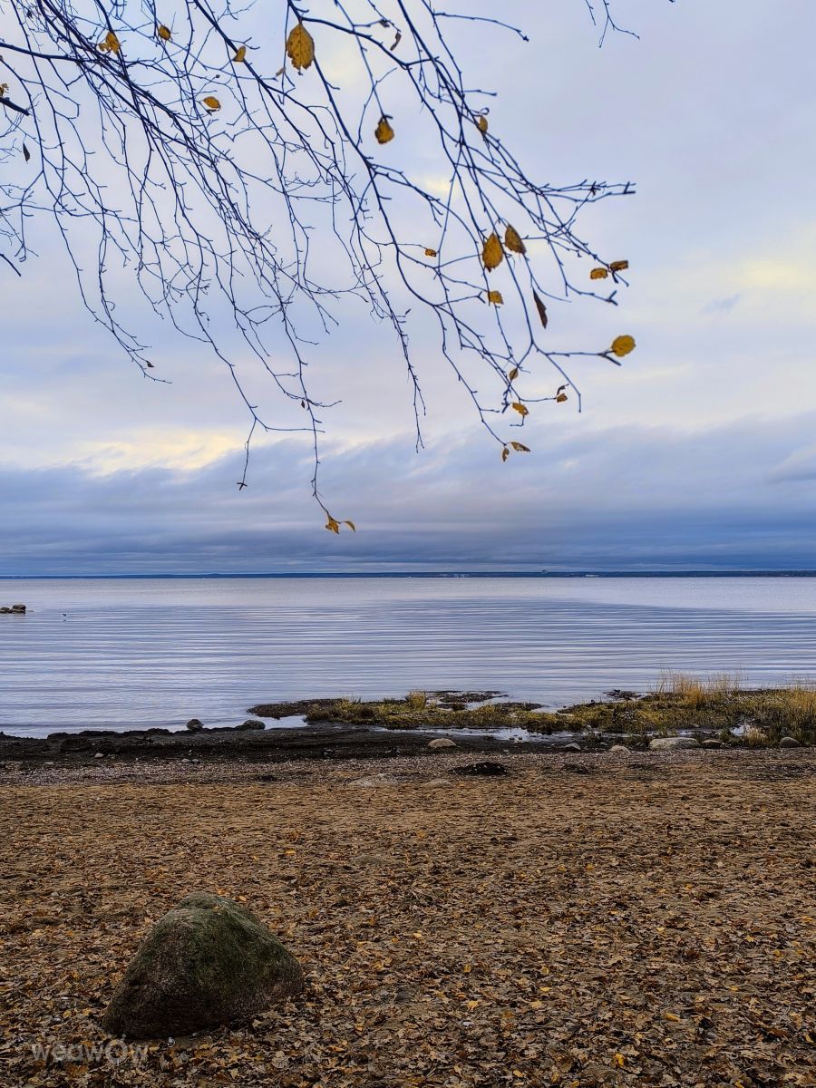 Leningrad的天气照片. 天气预报，带Jea精美的照片
