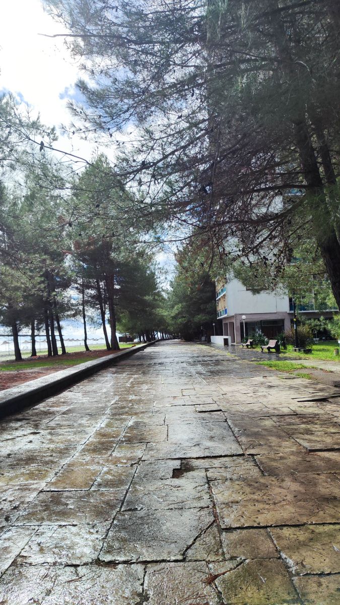 Weather Photos in Georgia. Weather forecasts with beautiful photos by dorofeiSHIN