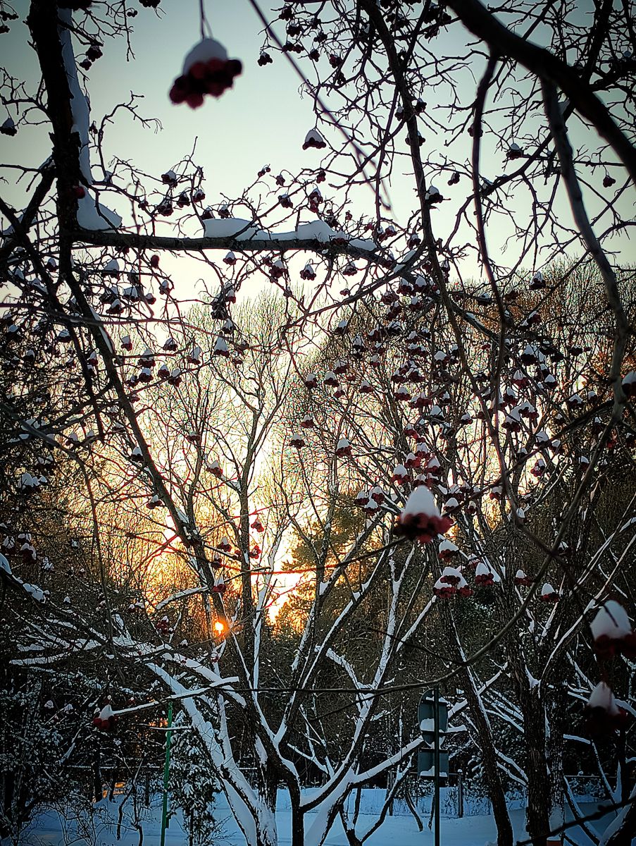 Weather Photos in Sverdlovskaya Oblast'. Weather forecasts with beautiful photos by rx9cig