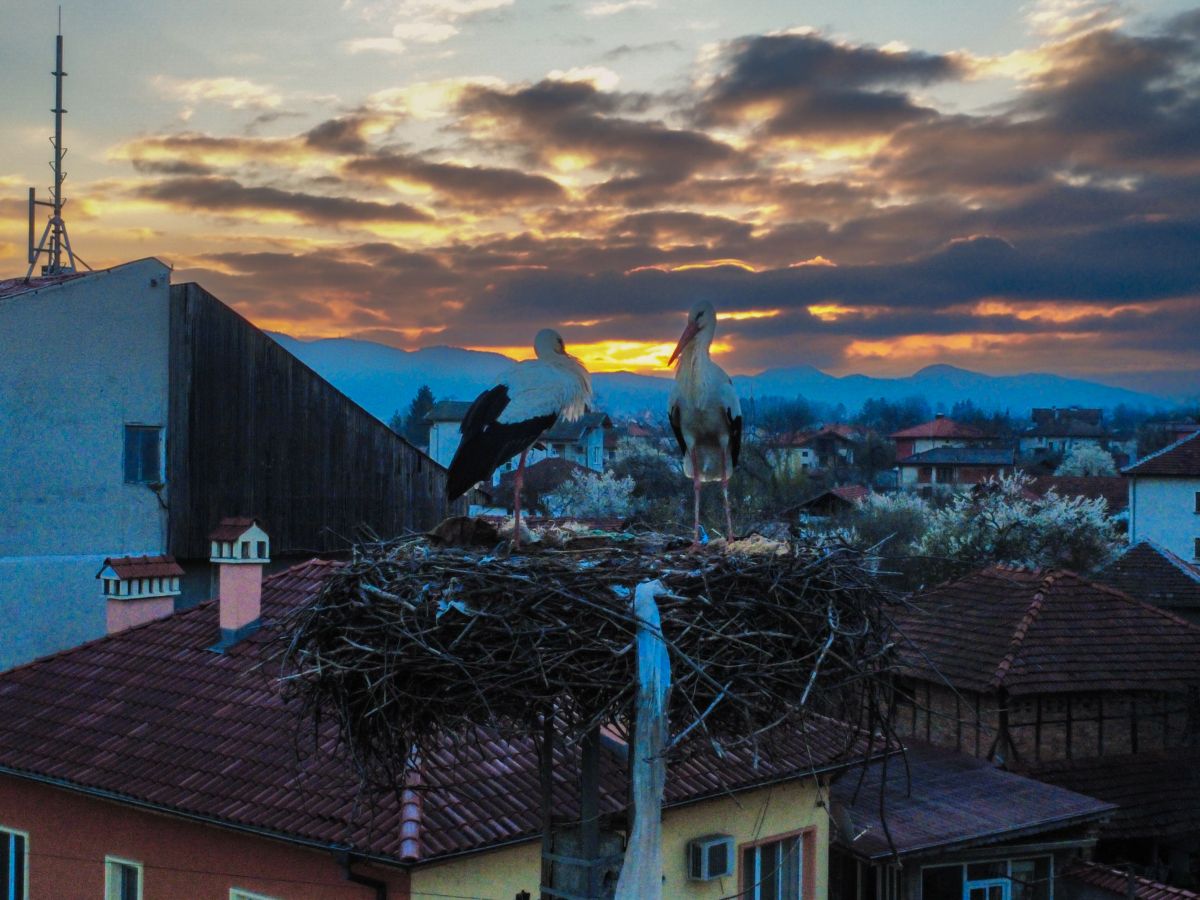 Фотографии Погоды в Trudovets. Прогнозы погоды с чудесными фотографиями, сделанными Vaskoy7