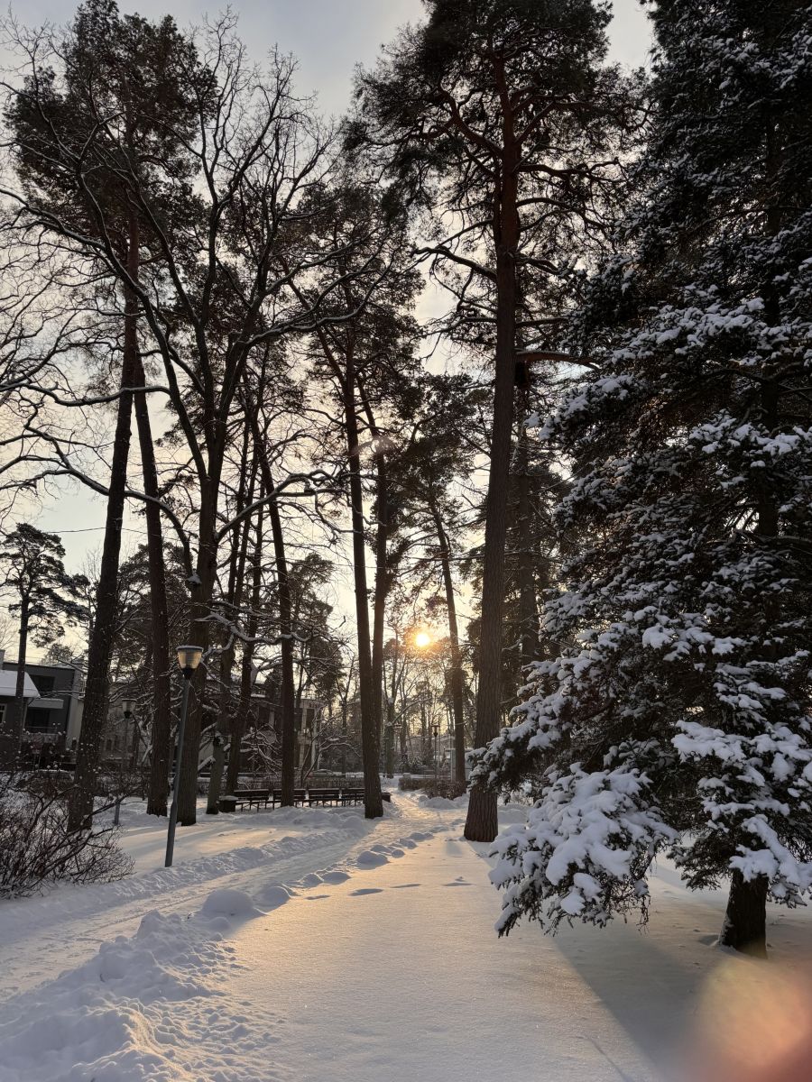 Fotos sobre el clima en Letonia. Pronósticos del tiempo con hermosas fotos de Svet-Lana