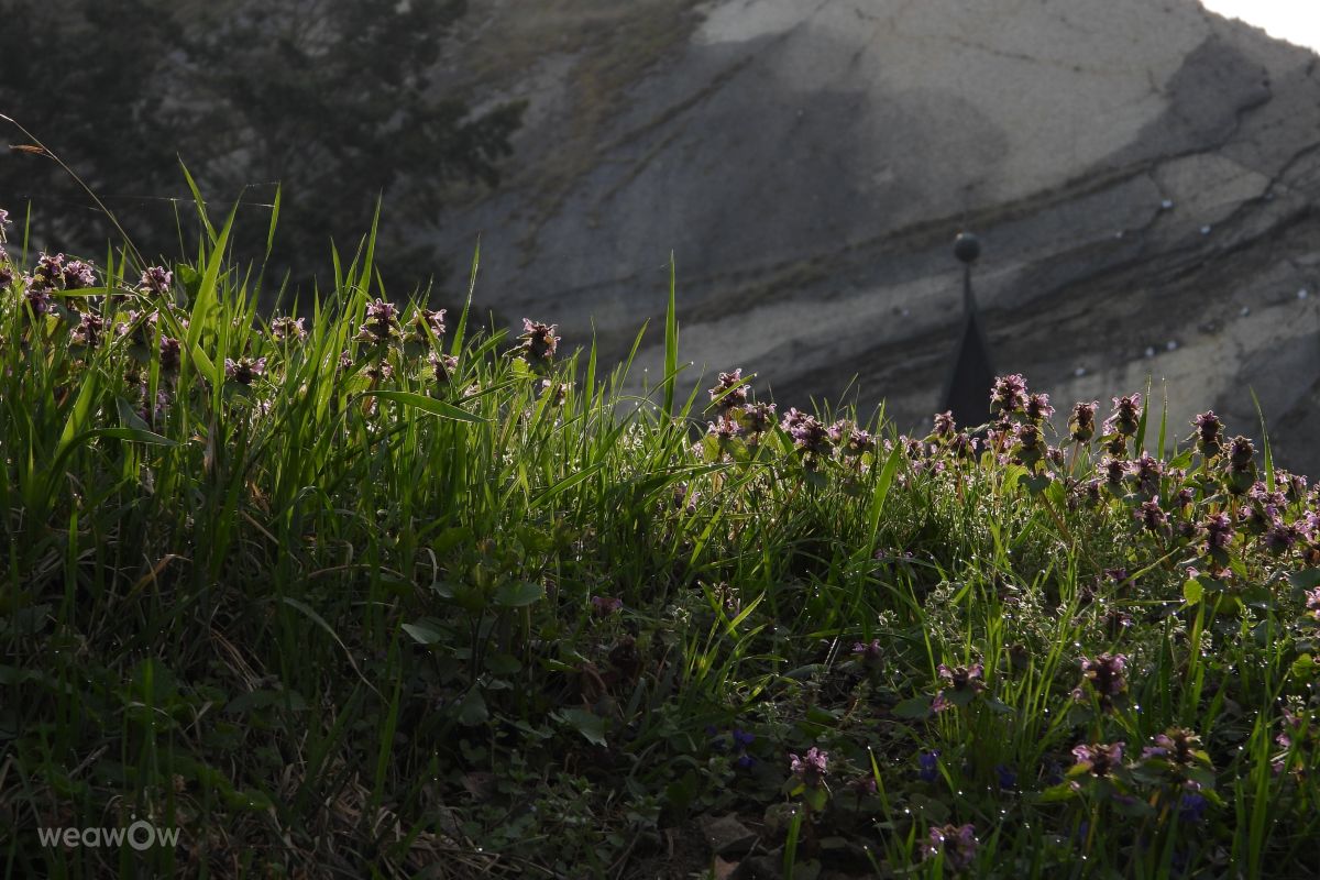 Braník的天气照片. 天气预报，带Vasek325精美的照片