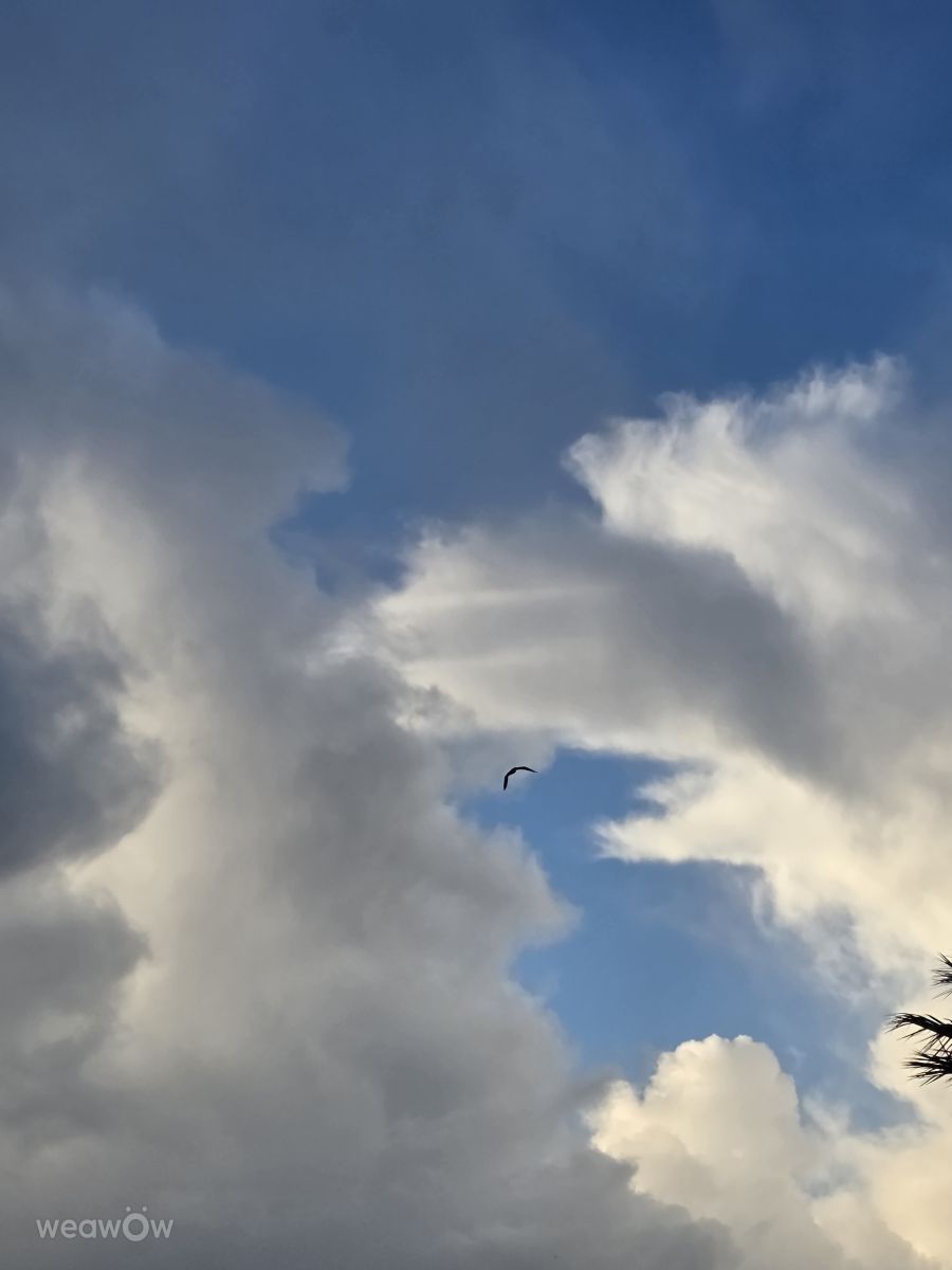 Фотографии Погоды в Praia do Carvoeiro. Прогнозы погоды с чудесными фотографиями, сделанными Brtd