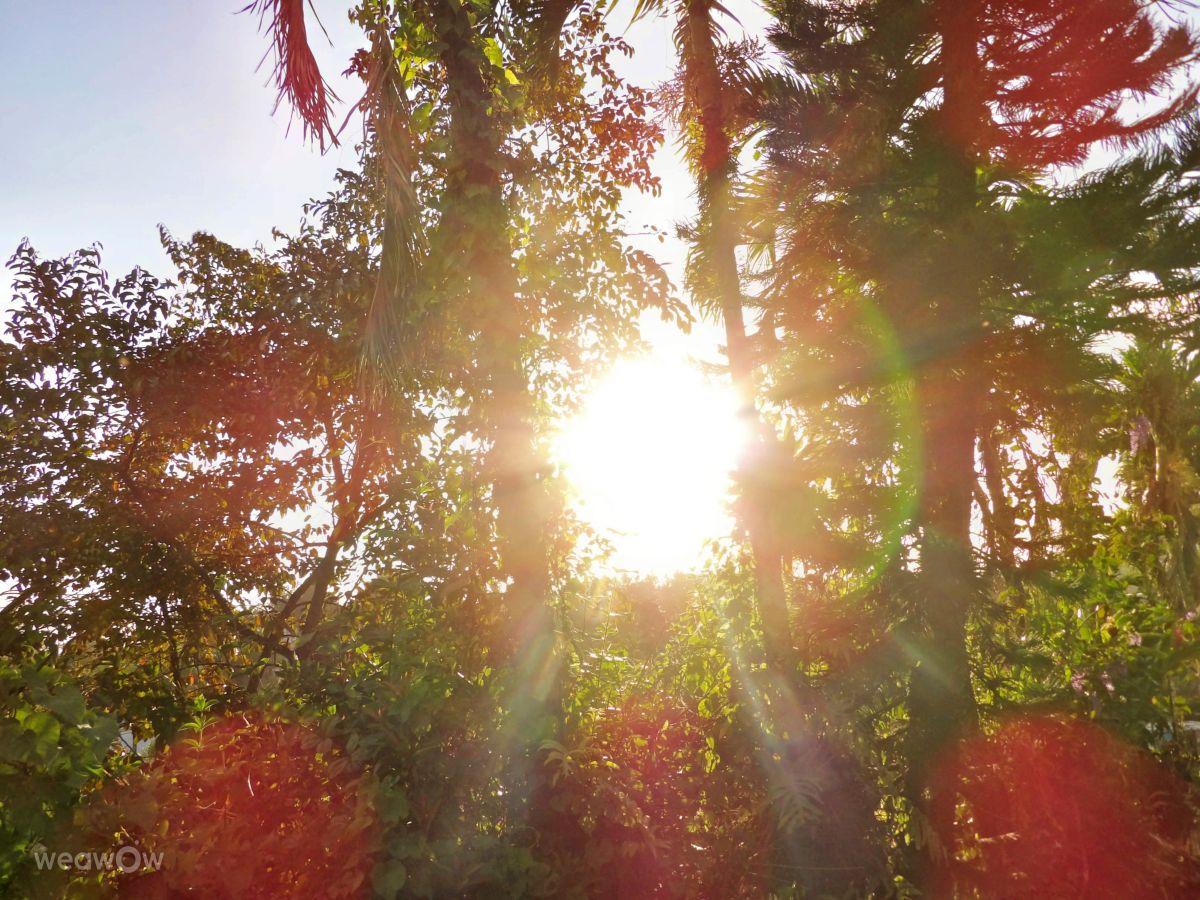 Weather forecasts with beautiful photos by lcruz23