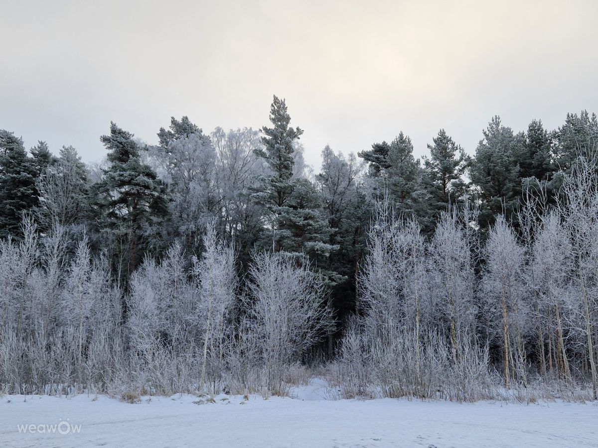 スウェーデンの天気写真. Susanne Sussi Wetterholmの美しい写真による天気予報