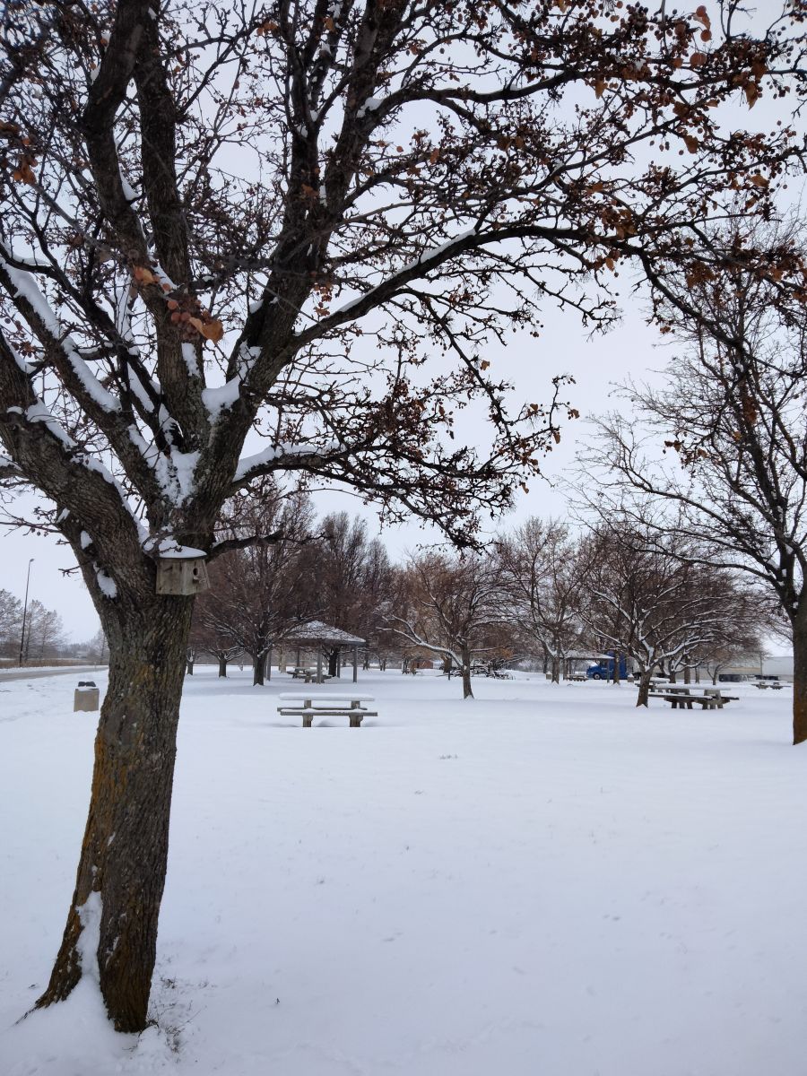 伊利诺伊州的天气照片. 天气预报，带Kate72精美的照片