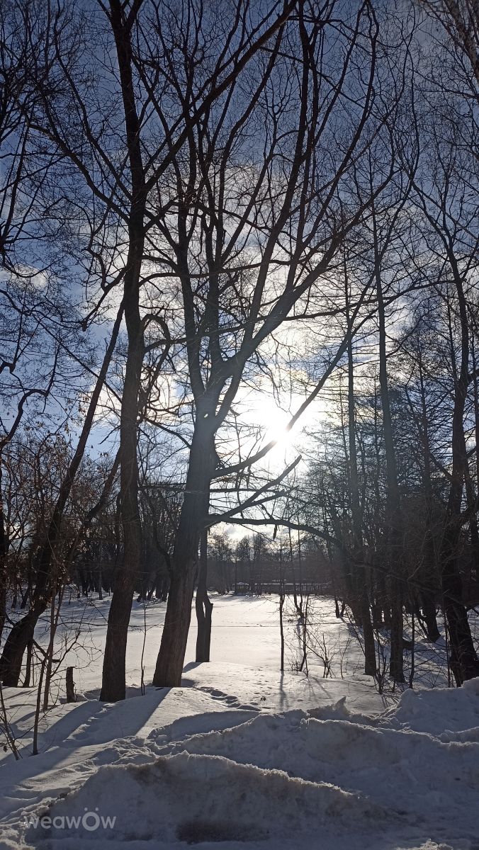 Weather Photos in Moscow Oblast. Weather forecasts with beautiful photos by Ратибор