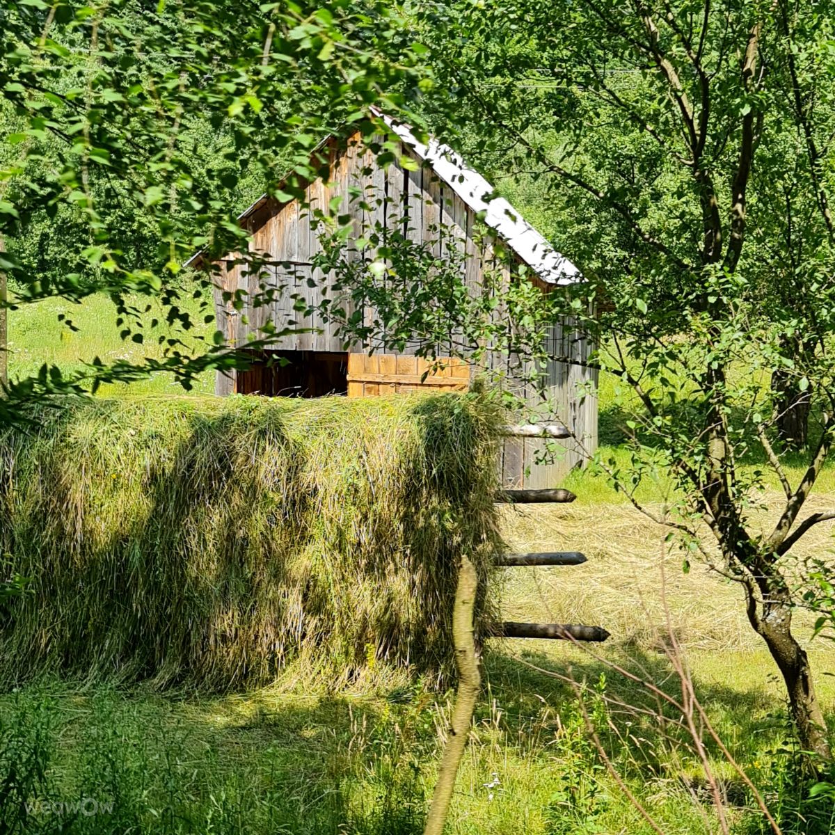 Weather Photos in Maramureş. Weather forecasts with beautiful photos by Felicia