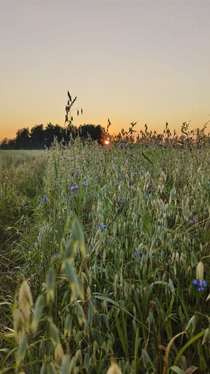 Fotos do tempo em Kaluga Oblast. Previsões do tempo com lindas fotos de Aleksei
