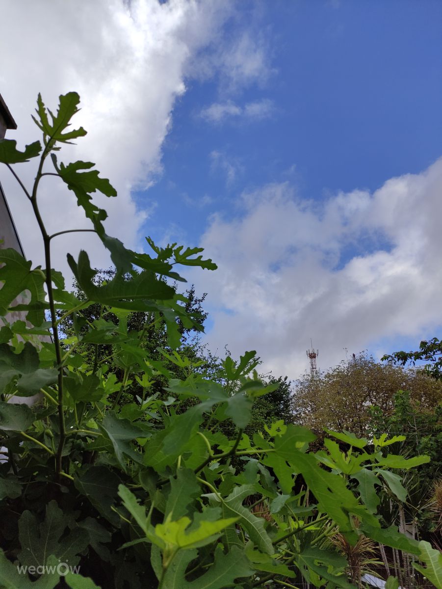 Photos météo à Palotina. Prévisions météo avec de superbes photos de Cleide