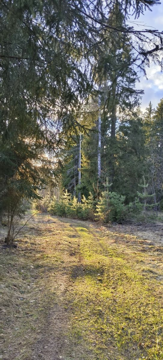 Fotos sobre el clima en Kaluga Oblast. Pronósticos del tiempo con hermosas fotos de Aleksei