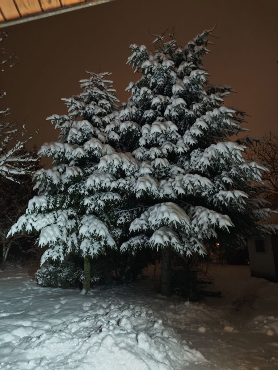 Weather Photos in Szczebrzeszyn. Weather forecasts with beautiful photos by AndrzejS