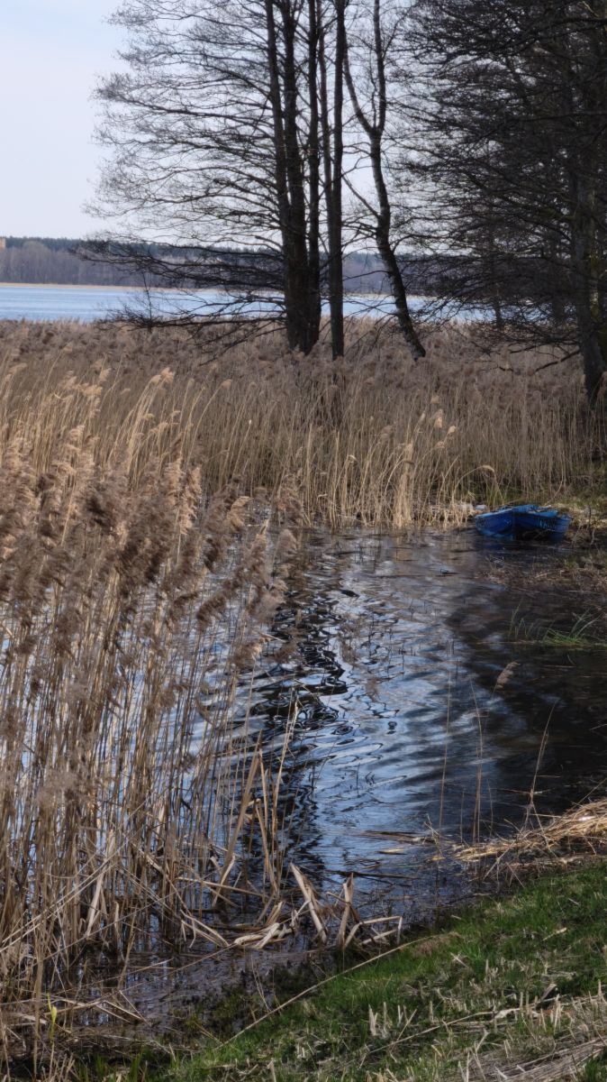 Fotos sobre el clima en Daugavpils. Pronósticos del tiempo con hermosas fotos de Anerishka