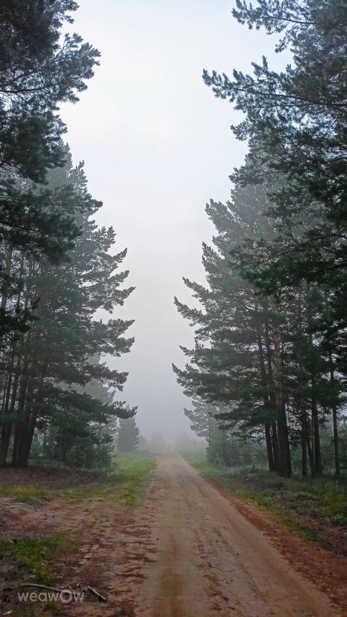 Fotos do tempo em Nizhneudinsk. Previsões do tempo com lindas fotos de G_3233