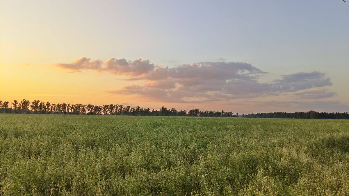Fotos do tempo em Kaluga Oblast. Previsões do tempo com lindas fotos de Aleksei