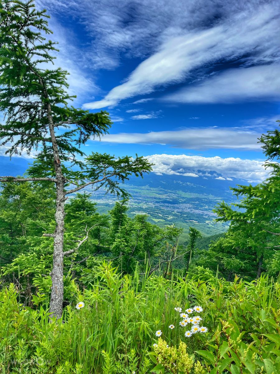 Weather Photos in 高峰高原. Weather forecasts with beautiful photos by Kasumisou