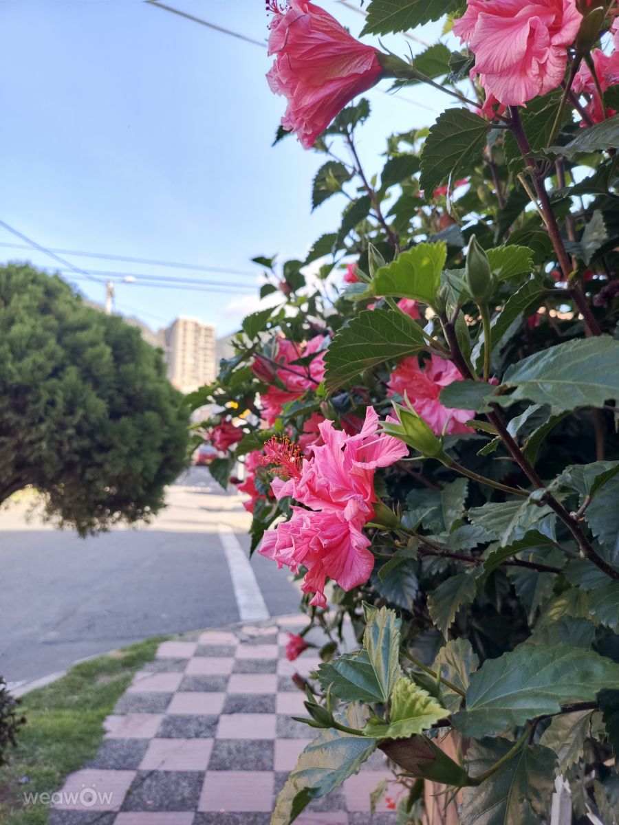 Fotos sobre el clima en Colombia. Pronósticos del tiempo con hermosas fotos de Medusahra