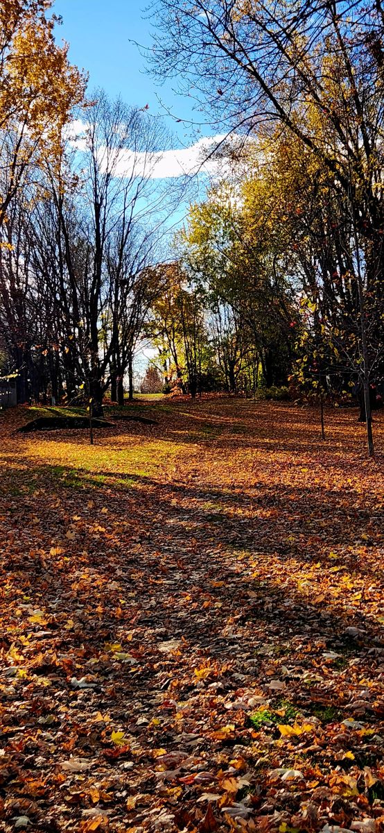 Wetter Photos Kanata Avenue. Wettervorhersagen mit schönen Fotos von KevinG